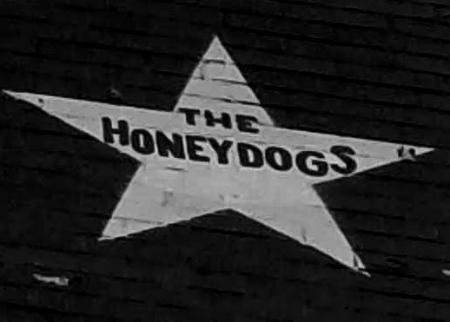 The Honeydogs