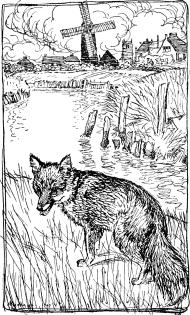 The Wedding of Mrs. Fox